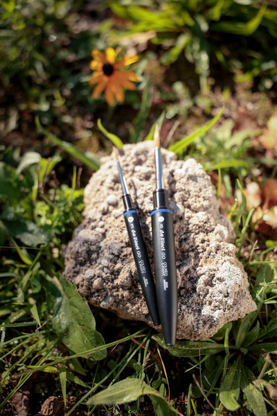 da Vinci GO! Colineo X Point 2 Brush Set 4282 - Round Sizes 3 & 8