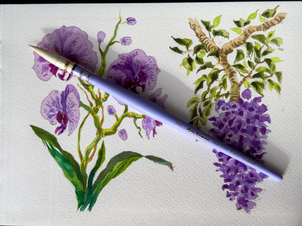 da Vinci Pretty Lili Edition Watercolour Brush Size 2 – Extra Soft & Colorful